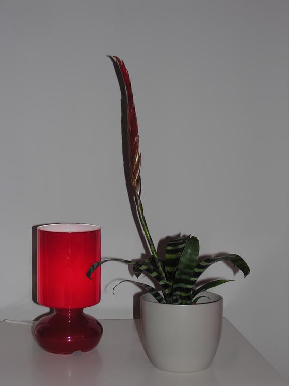 Apartament Amaryllis 크라쿠프 외부 사진